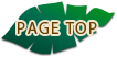 PAGE TOP