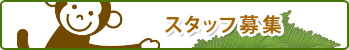 スタッフ募集